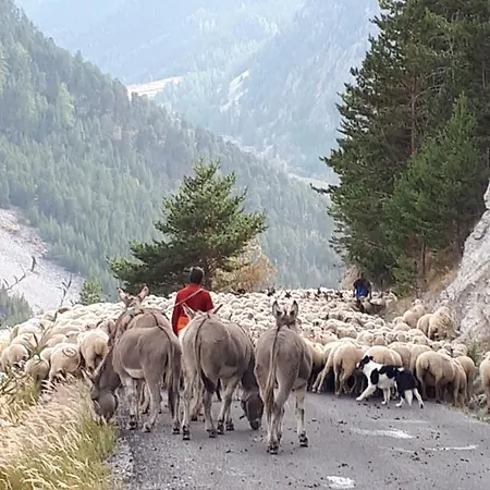 Le Cerf Che Bed & Breakfast La Salle-les-Alpes